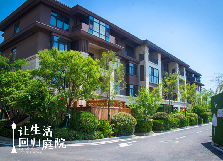 前后张望南阳50年：：这样的庭院，，很难再有了！！