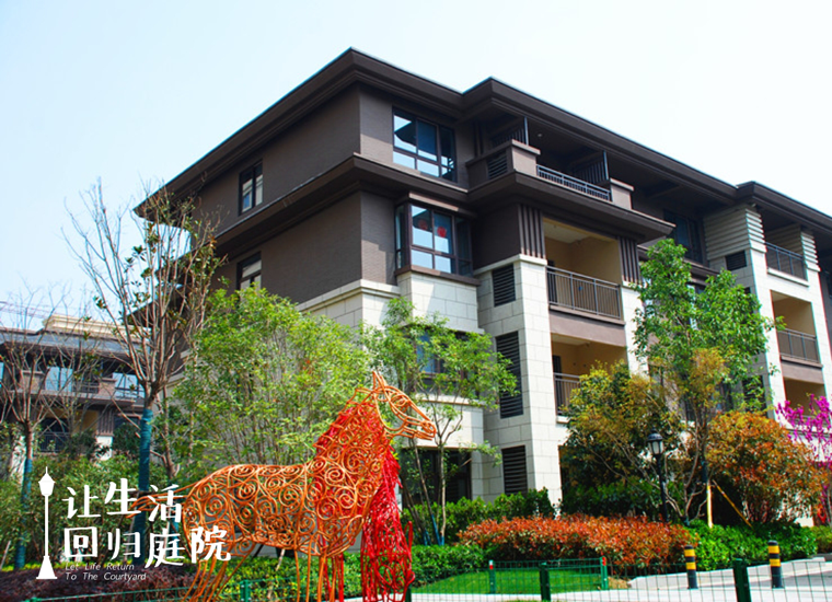 前后张望南阳50年：：这样的庭院，，很难再有了！！