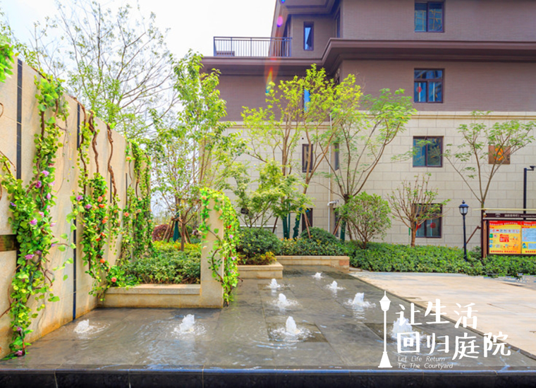 前后张望南阳50年：：这样的庭院，，很难再有了！！