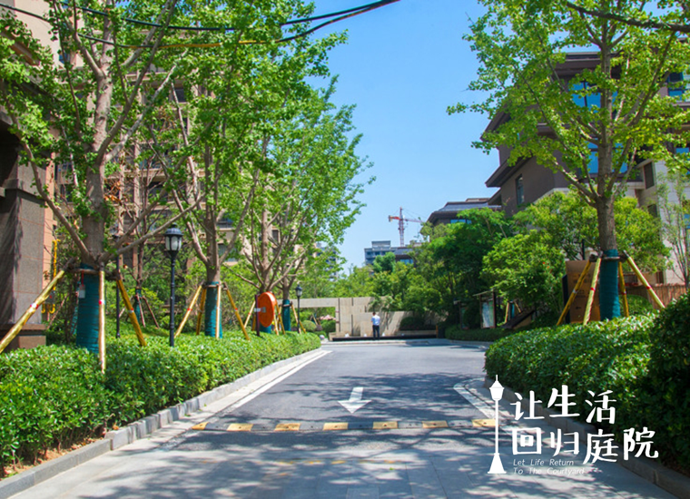 前后张望南阳50年：：这样的庭院，，很难再有了！！