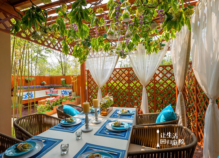 前后张望南阳50年：：这样的庭院，，很难再有了！！