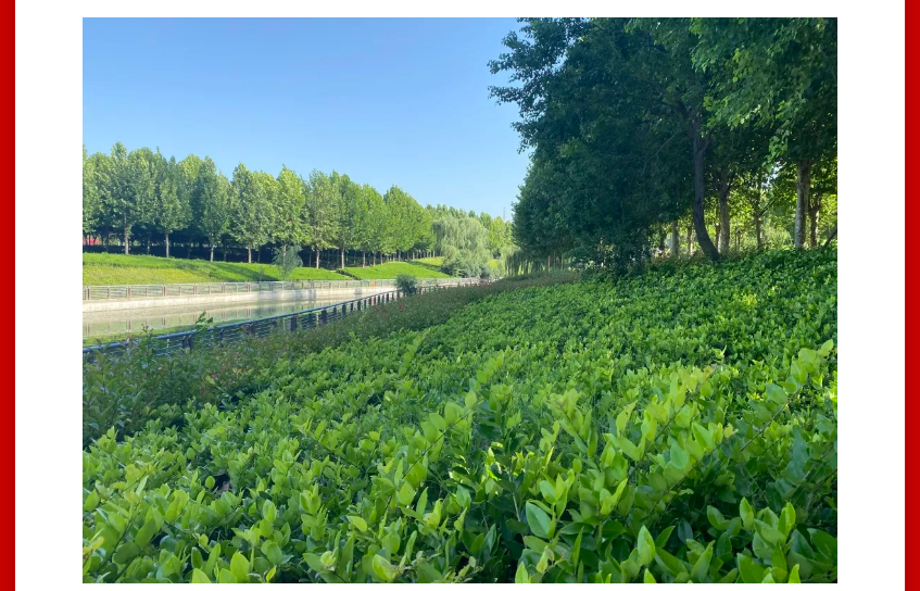 年终薅好房，，这个明星红盘把“出圈”举行究竟！！！